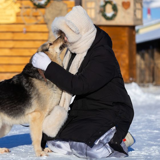 Луна сейчас